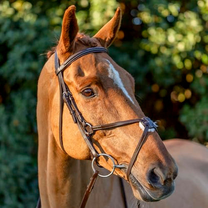 Equinavia Saga Adjustable Padded Fancy Stitched Figure 8 Bridle with Reins - size: Warmblood