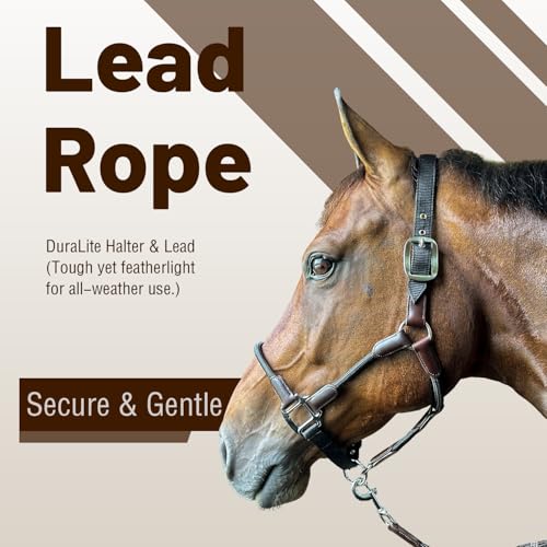 Huntley Equestrian Nylon Halter and Lead, Black - size: Cob