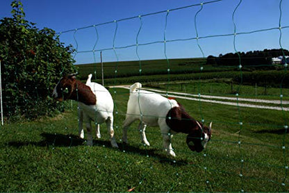 Classic Electric Netting- Electric Fence Protects Sheep, Goats, Gardens, beehives, and More. Electric net Fence Keeps preditors Out. (35" x 164') - size: 35" x 164'