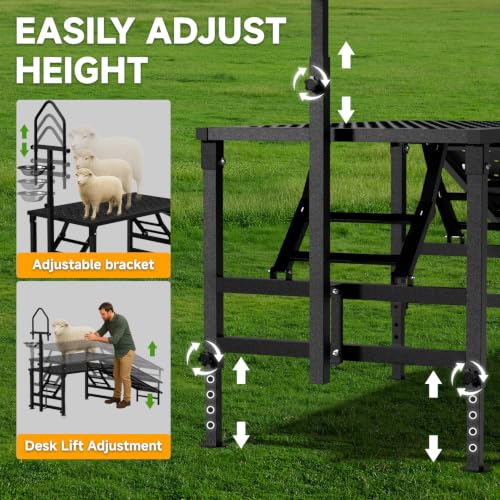 Goat Milking Stand with a Ramp, Metal Goat Stand with Feed Bin, 600LBS Livestock Trimming Stand with Height Adjustable, Sturdy Sheep Stand for Goats and Lambs, Black.