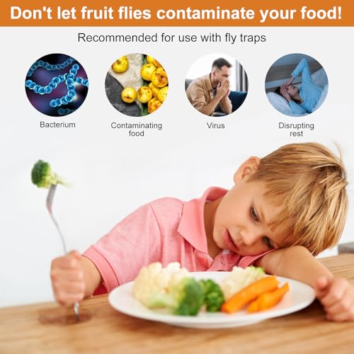 Fruit Fly Trap Refill Liquid Only 12 Packs- Replacement Parts for Fly Traps- Safe Near Pets,Food and Kids- Fruit Fly Lure Refill Trap