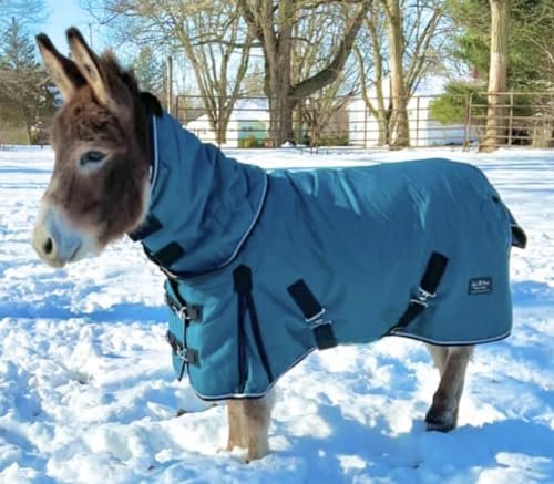 Mini-Pony Horse Ripstop Waterproof Windproof Blanket Hooded Lightweight Turnout Rain Sheet Breathable Lining 1200 Denier Material 350 Fill (46-48", Raspberry) - color: Raspberry, size: 46-48"