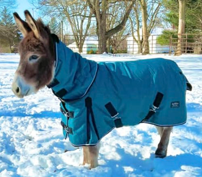 Mini-Pony Horse Ripstop Waterproof Windproof Blanket Hooded Lightweight Turnout Rain Sheet Breathable Lining 1200 Denier Material 350 Fill (48-50", Raspberry) - color: Raspberry, size: 48-50"