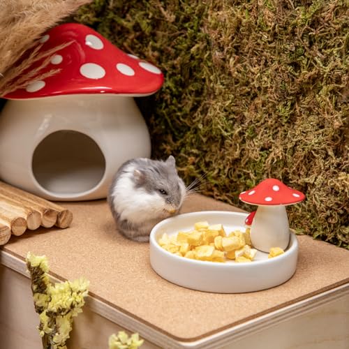 Niteangel Hamster Feeding & Water Bowls- Mushroom Ceramics Series Food Dish Feeding Bowls for Dwarf Syrian Hamsters Gerbils Mice Rats or Other Similar-Sized Small Pets (Feeding Bowl) (Pack of 2) - size: Feeding Bowl (Pack of 2)