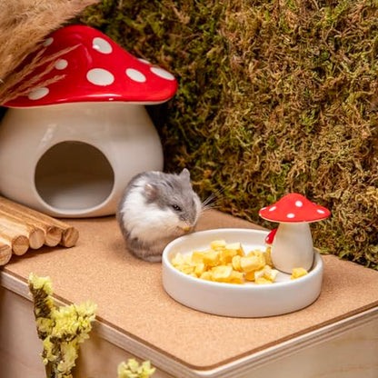 Niteangel Hamster Feeding & Water Bowls- Mushroom Ceramics Series Food Dish Feeding Bowls for Dwarf Syrian Hamsters Gerbils Mice Rats or Other Similar-Sized Small Pets (Feeding Bowl) (Pack of 2) - size: Feeding Bowl (Pack of 2)