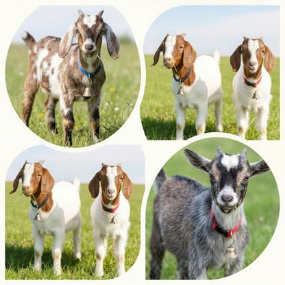4-Pack Goat Collars with Bells, Adjustable Nylon Collar Sheep Collars Set Anti-Lost Loud Cow Bells Accessories for Small Farm Animals Pet Cows Goats