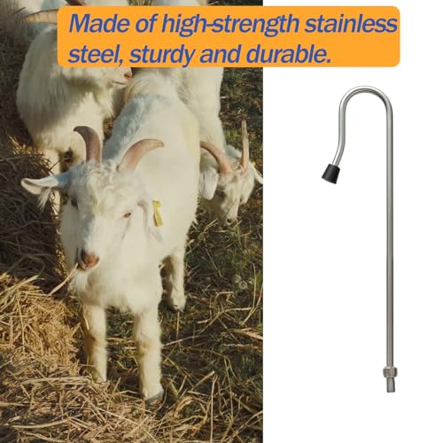 Goat Sheep Catcher Hook,Stainless Steel,4 Lengths 28-75",Non-Slip Grip | Heavy-duty rust-proof, 5 lengths, arc head balls no scratch, twist-lock release safe, catch while feeding no chase