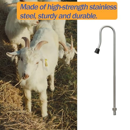 Goat Sheep Catcher Hook,Stainless Steel,4 Lengths 28-75",Non-Slip Grip | Heavy-duty rust-proof, 5 lengths, arc head balls no scratch, twist-lock release safe, catch while feeding no chase