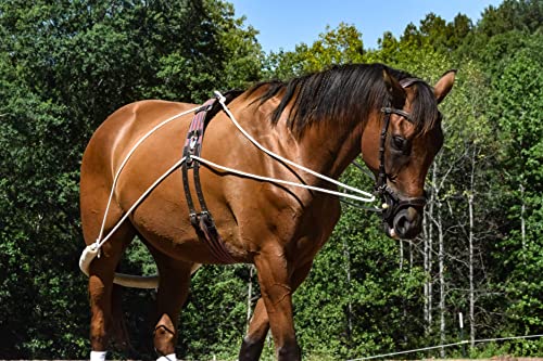 Leaders Training or Lungeing Aid for Horse - color: White