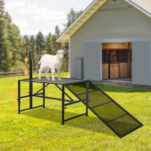 Metal Trimming Stand for Sheep Goat Milking Stand with a Ramp Livestock Stand with Adjustable Head Piece and Legs