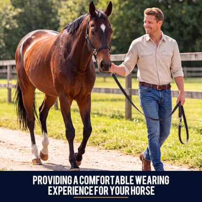 2 Pack Nylon Horse Halter with Reins Adjustable | Training, Show, Pony, Padded, Reinforced, Brass Snap, Equine Stable Supply - color: Black