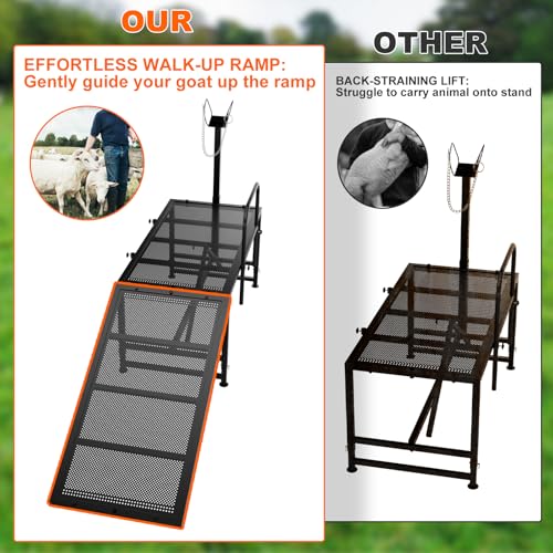 Heavy Duty Sheep Trimming Stand with Ramp - Adjustable Livestock Grooming & Milking Stand for Goat, Sheep Shearing and Milking Frame