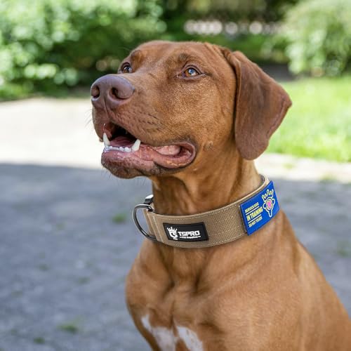 TSPRO Heavy Duty Tactical Dog Collar Quick Release Metal Buckle with Patch | Premium Dog Collar, Military Nylon, 1.5” Wide, Soft Padded, Thick, Personalized, Adjustable for Medium & Large Dogs (Khaki L) - color: Basic Khaki, size: L, Patch Style, Neck 18.