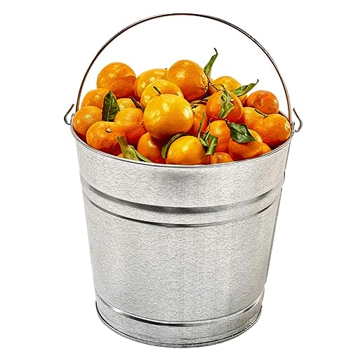 12-Quart Galvanized Trash Can, Metal Bucket - color: 12-quart Bucket