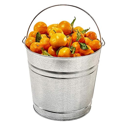 12-Quart Galvanized Trash Can, Metal Bucket - color: 12-quart Bucket