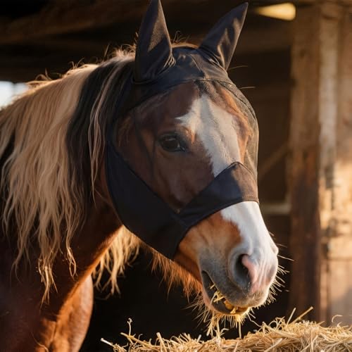 3 Pcs Horse Fly Mask with Long Nose and Ear, Black Meshs