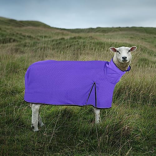Silkfly 2 Pcs Sheep Blanket Mesh Medium Goat Adjustable Strap, Purple - color: Purple