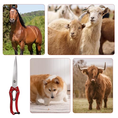 Sheep Shears Manual Stainless Steel Spring Loaded Wool Clipping Scissors