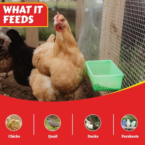 My Favorite Chicken 27oz Chicken Cage Cup – Hanging Chicken Waterer & Feeder for Chick, Duck, Quail, Parakeet – Versatile Poultry Feeder & Bird Cage Water Cups, Green - color: Green