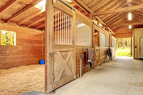 AMREP 074026 2 Piece Country Vet Equine Mosquito/Flying Insect Control Kit