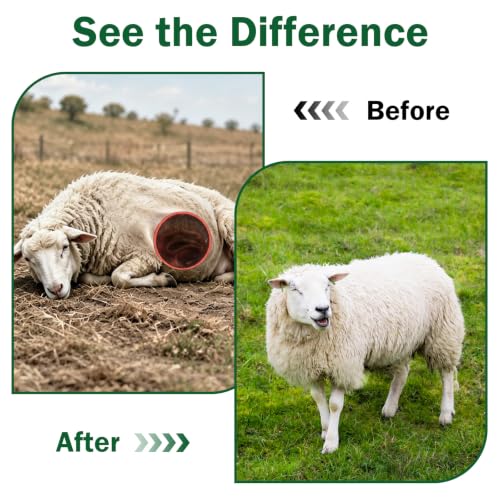 Dewormer for Goats and Sheep with Fenbendazole, Liquid Dewormer