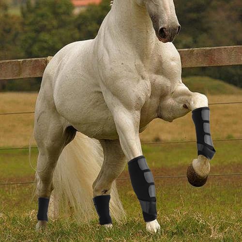 4 Pcs Horse Sport Boots - Neoprene Protective Breathable Comfy Mesh All-Round Lower Limb Protection & Support for Jumping Trail Riding Endurance Training and Performance - size: Small / Pony