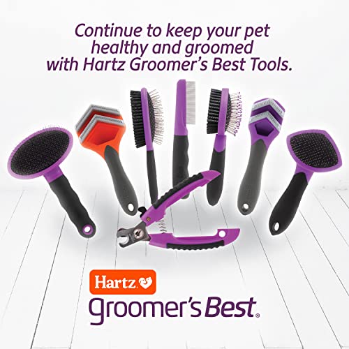 Hartz Groomer's Best Flea Comb for Dogs and Cats, Fine-Toothed Gentle Pet Comb for Detangling or Dematting Face & Paws (Pack of 1) - size: 1 Count (Pack of 1)