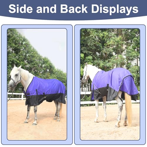 600D Horse Blanket, 0g No-Fill Waterproof Turnout Rain Sheet - color: Violet/Black, size: 75"