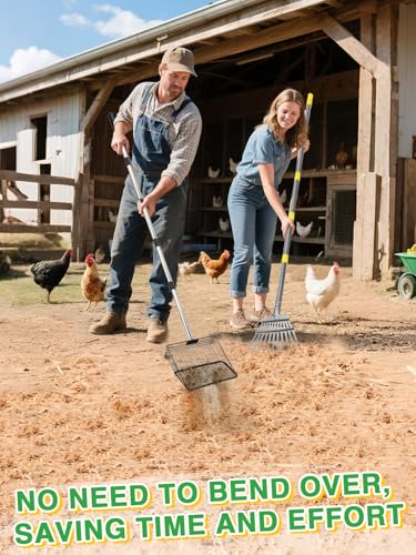 Extra Long Chicken Poop Scooper & Rake - Save-Effort 36''-76'' Long Metal 10'' Wide Scooper & 11 Tooth Rake, Chicken Coop Accessories for Efficient Cleaning