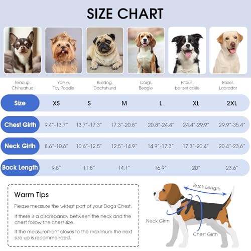 Queenmore Cold Weather Dog Coats Loft Reversible Winter Fleece Dog Vest Waterproof Pet Jacket Available in Extra Small, Small, Medium, Large Extra Large Sizes - color: Blue, size: Small