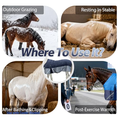 1200D Winter Horse Blanket,300g Fill,Black/Gray 66'' - color: Black/Grey 300g Fill, size: 66''