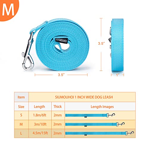 Strong Durable Nylon Dog Training Leash, 1 Inch Wide Traction Rope, 10 ft Long, for Small and Medium Dog (Mint Blue, 10 Feet) - color: Mint blue, size: 10 Feet