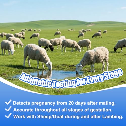 Sheep/Goat Pregnancy Test –5 Pack Ewe Pregnancy Urine Test Strips