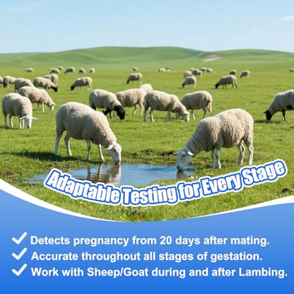 Sheep/Goat Pregnancy Test –5 Pack Ewe Pregnancy Urine Test Strips