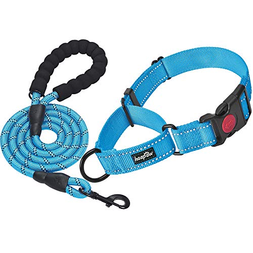 haapaw Martingale Dog Collar with Quick Release Buckle Reflective Dog Training Collars for Small Medium Large Dogs - color: Blue, size: M
