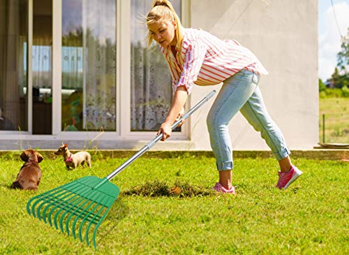 Gardzen 12 Tines Gardening Leaf Rake | Lightweight Steel Handle, Detachable, Ideal Camp Rake, Comes with Dustpan-Type Garden Bag - style: 2 Packs
