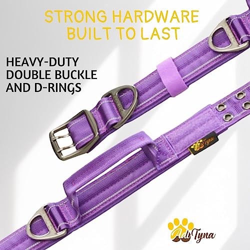 ADITYNA Heavy Duty Purple Dog Collar for Medium Dogs with Traffic Handle - color: Purple, size: Medium: Fit 15-19" Neck