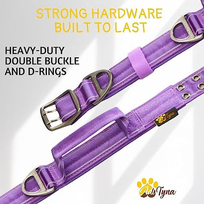 ADITYNA Heavy Duty Purple Dog Collar for Medium Dogs with Traffic Handle - color: Purple, size: Medium: Fit 15-19" Neck