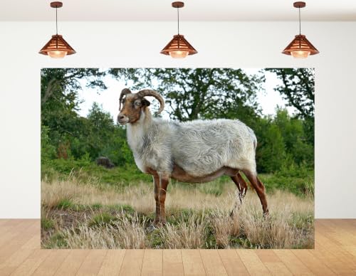 8x8ft Fabric Horned Wool Sheep Backdrop Thick White Fur Dry Grass Green Leaf Woodland Photography Background Tapestry Party Farm Animal Decorations Photo Booth Props - size: 8x8ft