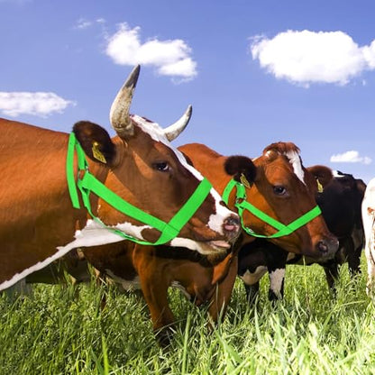 M METERXITY 2-Pack Adjustable Cattle Cow Calf Halter, 19.68"-23.62" Nylon Livestock Cow Halter for Miniature Horse/Donkey/Goat/Cattle [Green]