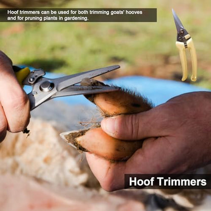 14 Inch Horse Farrier Tool Kits,7 Piece Professional Hoof Trimming Kit with Hoof Nippers, Rasp, Shear Cutter, Hoof Knife, Pick, Gloves, Storage Bag, for Horse Goat Pig Hoof Care - size: 14 Inch