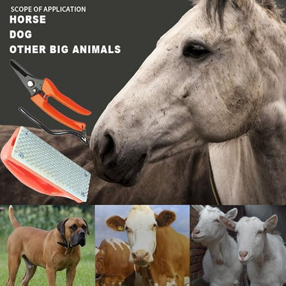 Mini Hoof Rasp for Horses Goats,Farrier Rasp, Ergonomic Portable Farrier Tool, Hoof Trimming File for Foals Ponies Donkeys