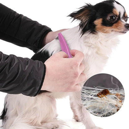 Flea Comb for Dogs and Cats, Fine-Toothed Pet Combs for Detangling or Dematting Face & Paws
