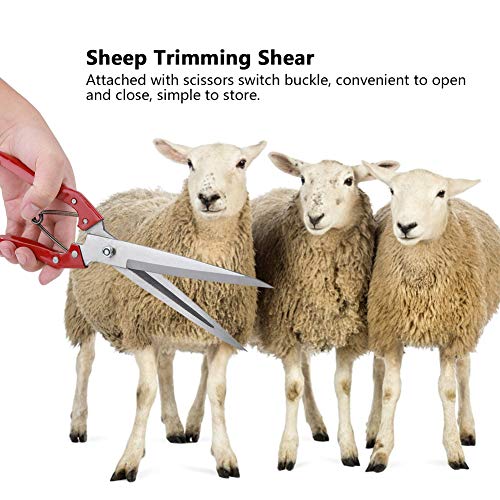 Generic Manual Stainless Steel Sheep Shears, with Spring Loaded Detachable Blade, for Livestock Trimming Shearing Sheep Rabbits Horses Pets