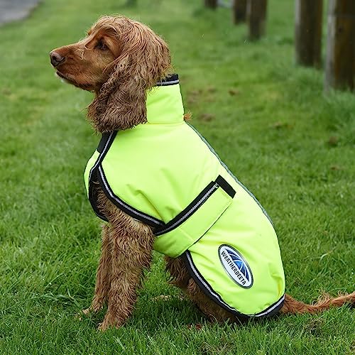 WeatherBeeta ComFiTec Reflective Parka 300D Deluxe Dog Coat, Yellow, 16" - color: Yellow, size: 16"