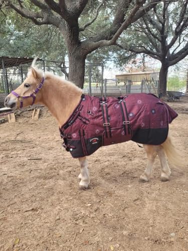 CHALLENGER 1200D Miniature Weanling Donkey Pony Horse Foal Winter Blanket - color: Burgundy Snowflake, size: 52 inches