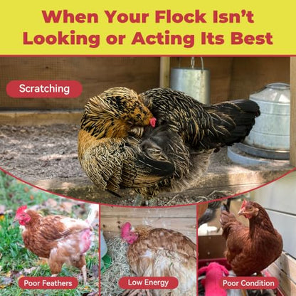 Ivermectin for Chickens, Poultry Dewormer 10 mg/mL Liquid for Worm, Mite & Lice Care Support, Oral Suspension with Dosing Syringe, for Backyard Chickens & Poultry Flocks, 1.01 oz