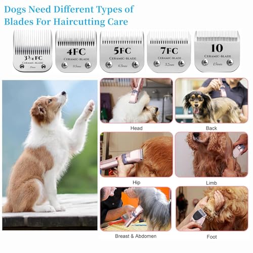 for Andis 3FC Blades Dog Grooming Blades - size: 3FC-2PC