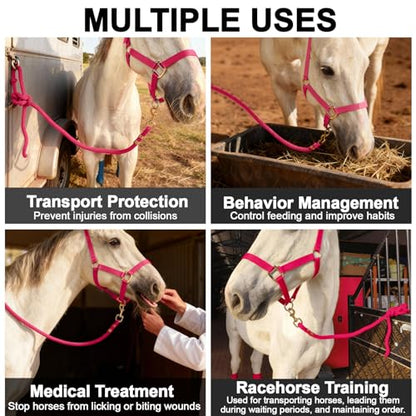 5/8" x 8' Nylon Horse Lead Rope (Peach Pink) - color: Peach Pink