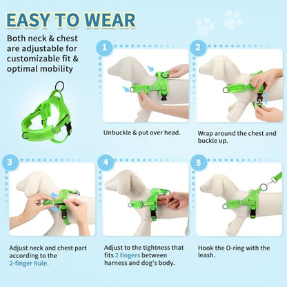 SlowTon No Pull Small Dog Harness and Leash Set with Front Clip | Soft Padded, Neck & Chest Adjustable, Lightweight, Anti-Twist, Puppy Vest Harness Pet Lead Combo for Small Medium Dog, G XXS - color: Green, size: XX-Small